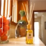 Alora Fragrance, Alora Ambiance Diffuser To Fragrance Your Home